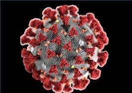 Emergenza Coronavirus. Comunicato del 5 Novembre