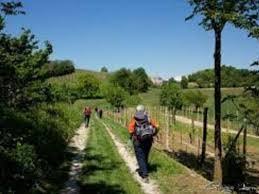 A spasso per Tigliole - 5^ edizione. 